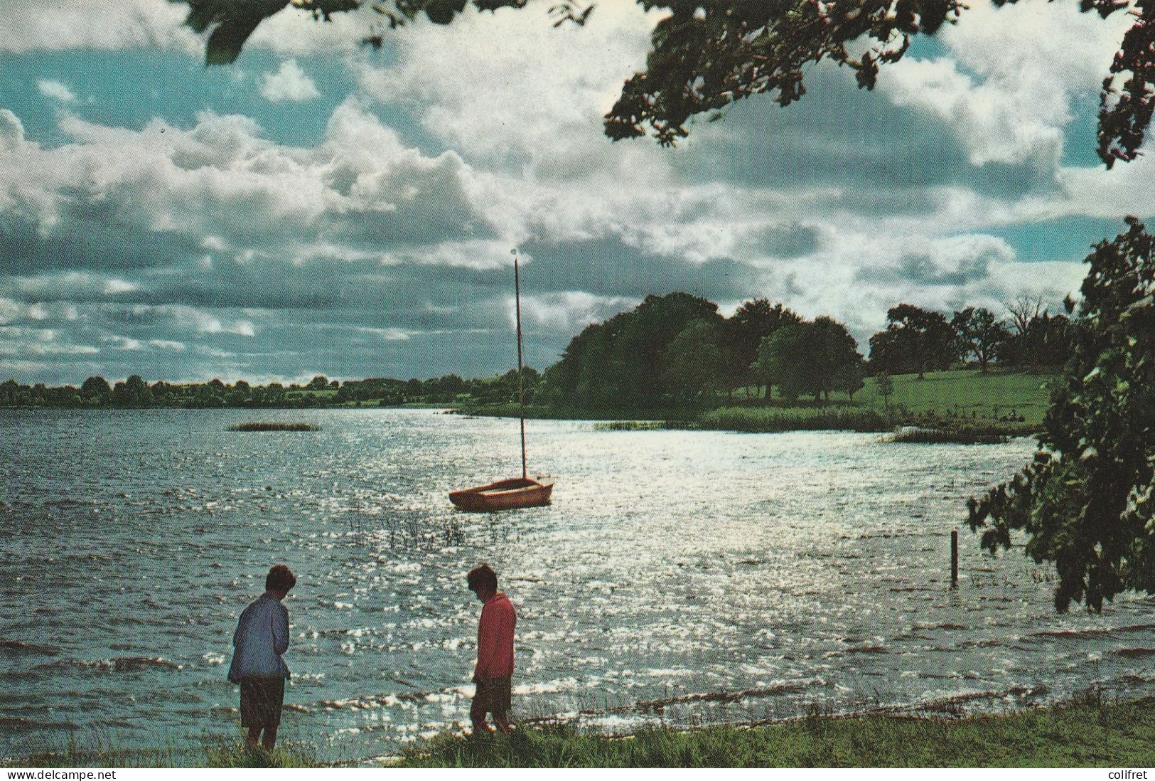 Irland - Westmeath  -  Lough Ree Near Athlone - Westmeath