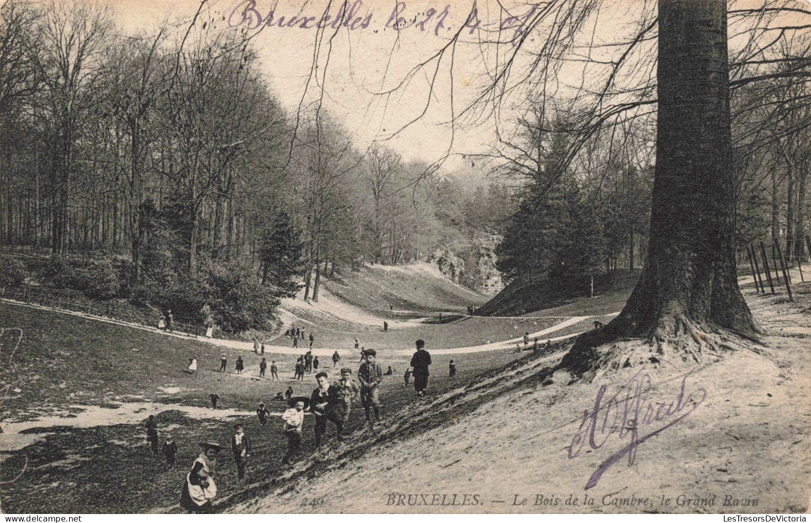 BELGIQUE - Bruxelles - Le Bois De La Cambre, Le Grand Ravin - Animé - Carte Postale Ancienne - Bruxelles-ville