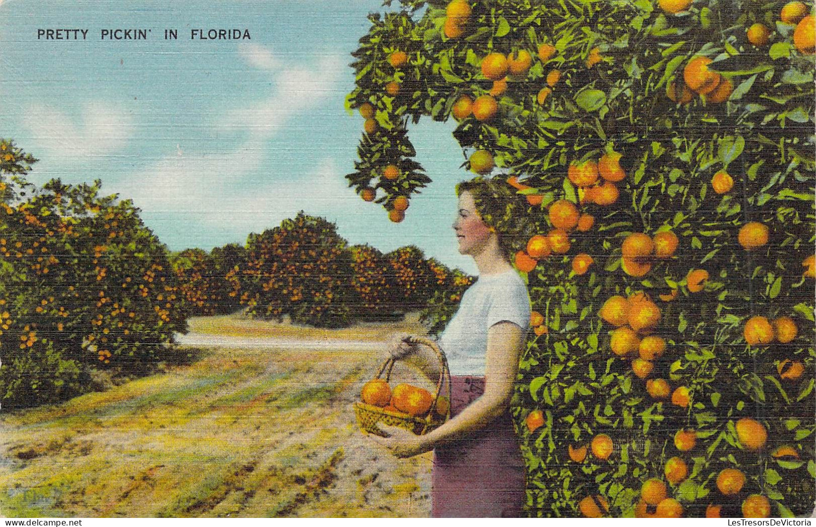 FANTAISIE - FEMME - Jeune Femme Ceuille Des Fruits - Panier En Osier - Carte Postale Ancienne - Femmes