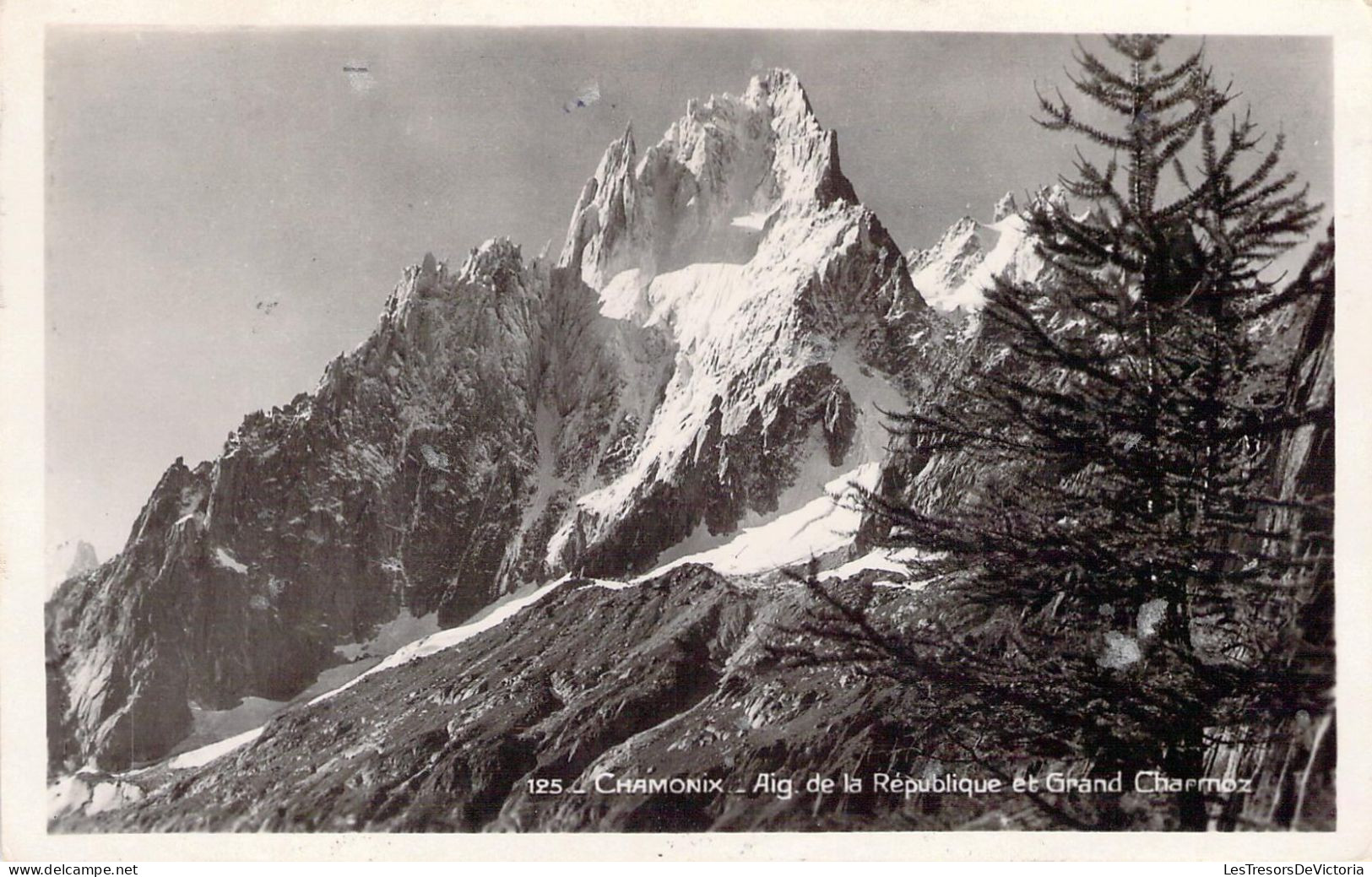 FRANCE - 74 - CHAMONIX - Aiguille De La République Et Grand Charmoz - Carte Postale Ancienne - Chamonix-Mont-Blanc