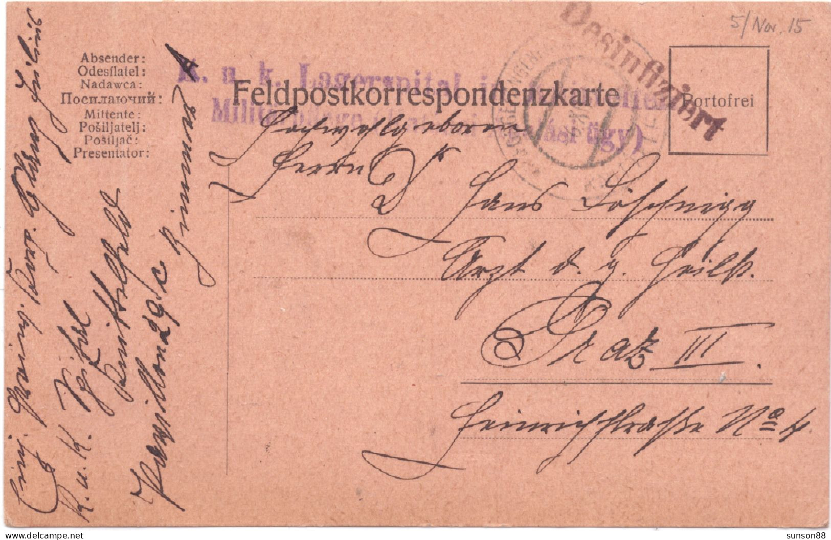 WWI Austria POW Camp. Disinfected Fieldpostcard 1917.3.26.  Violet Linear Cachet : Desinfiziert!  Militärpflege “ - Santé