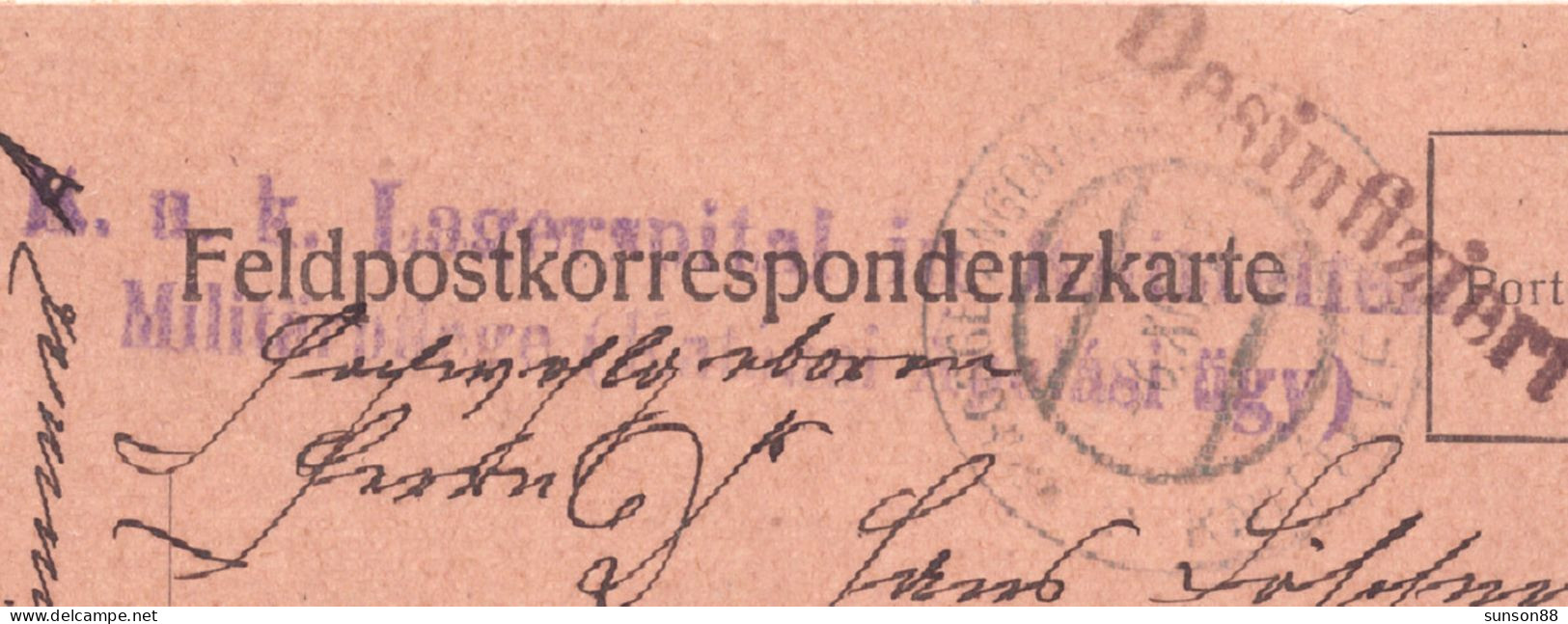 WWI Austria POW Camp. Disinfected Fieldpostcard 1917.3.26.  Violet Linear Cachet : Desinfiziert!  Militärpflege “ - Santé