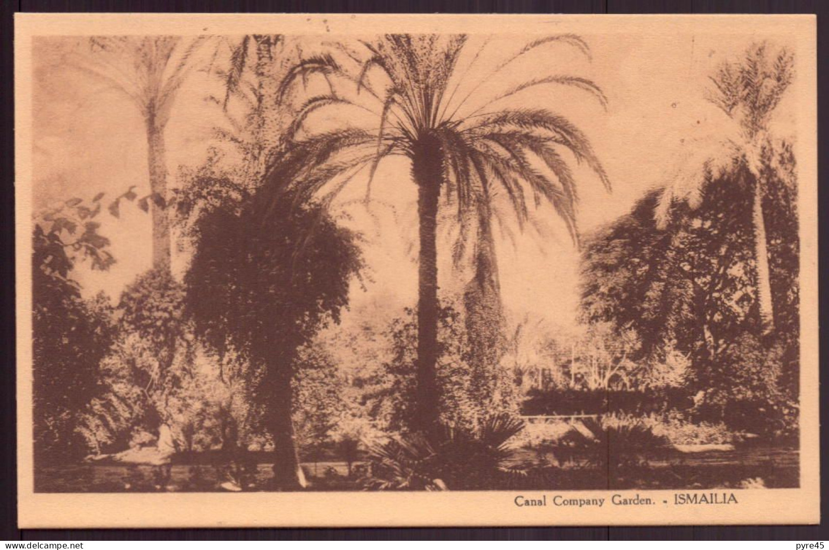 EGYPTE ISMAILIA CANAL COMPANY GARDEN - Ismaïlia