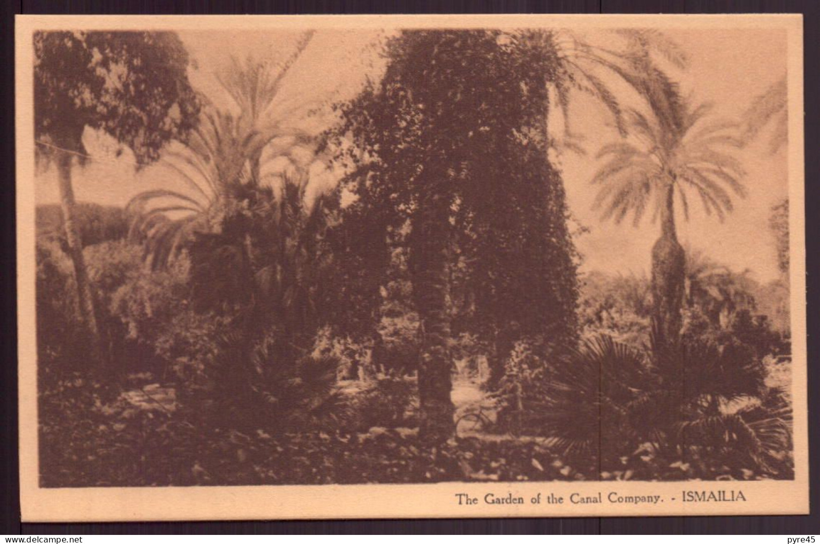 EGYPTE ISMAILIA THE GARDEN OF THE CANAL COMPANY - Ismailia