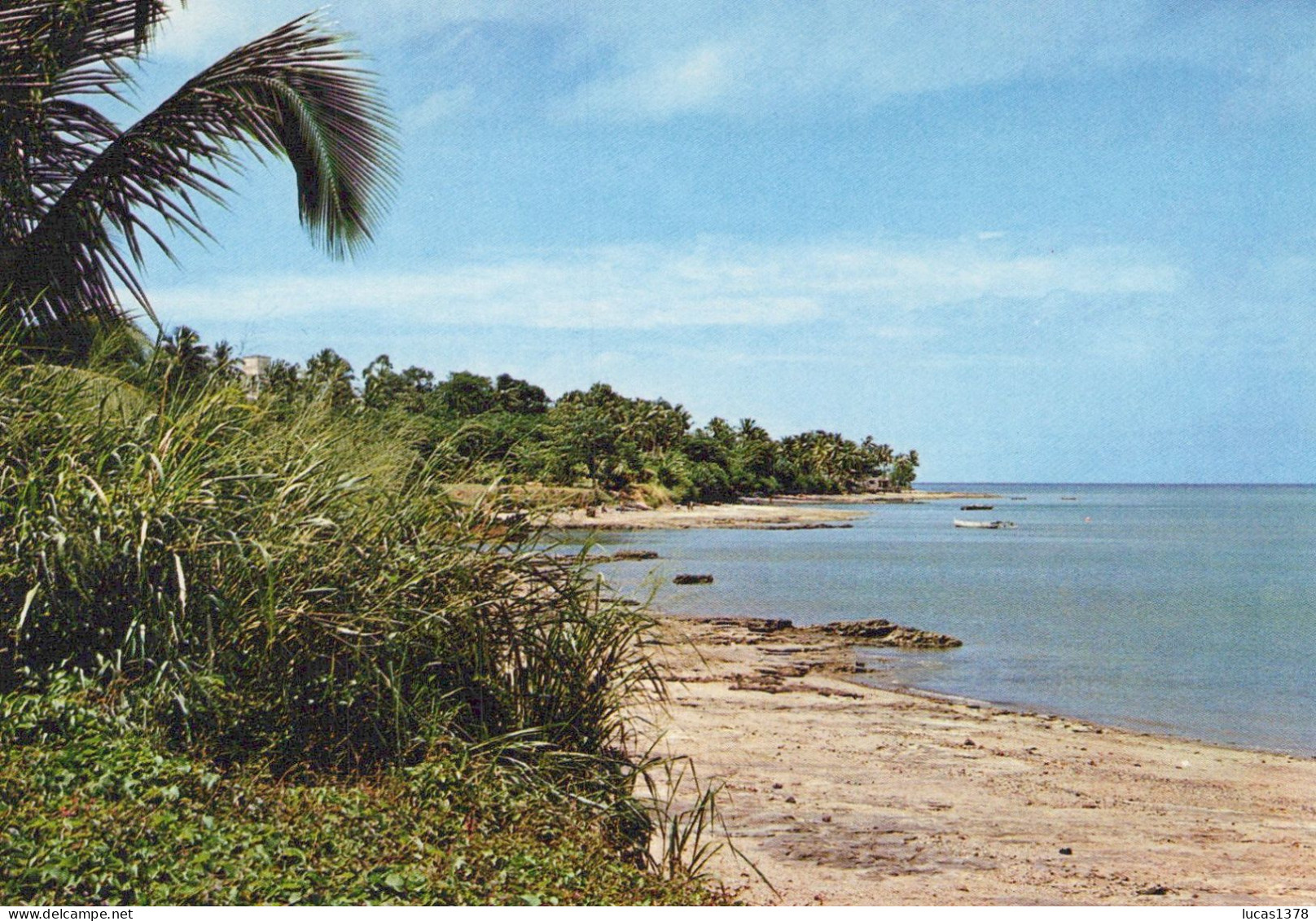 MAYOTTE / LE LAGON A PAMANDZI - Mayotte