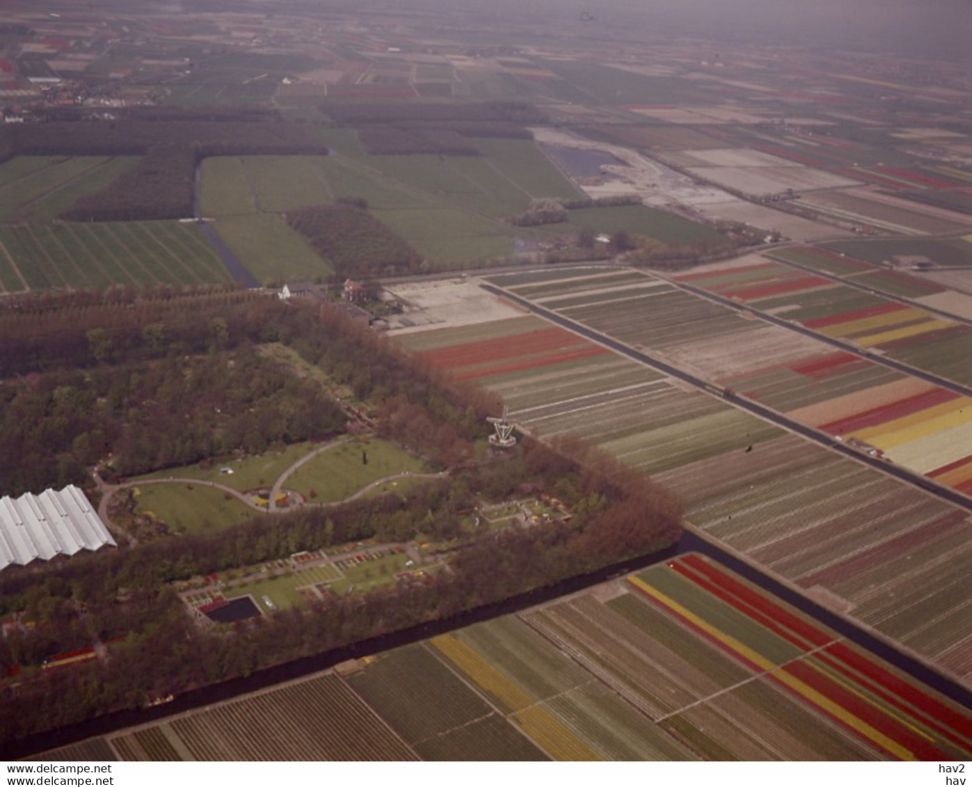 Lisse Bollenvelden Luchtfoto LF95 - Lisse