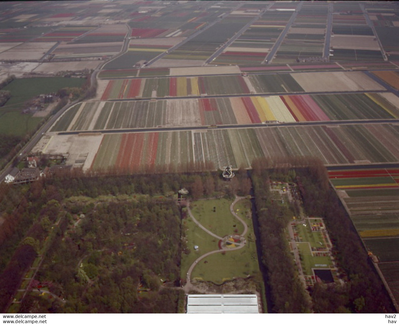 Lisse Bollenvelden Luchtfoto LF98 - Lisse