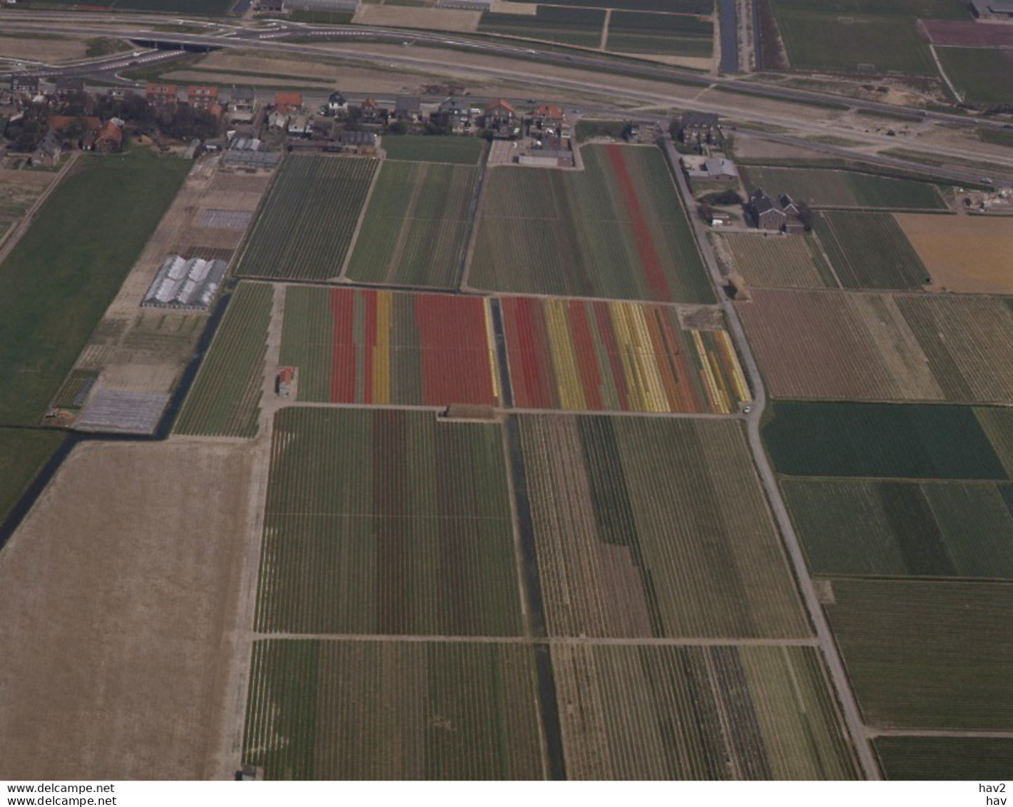 Lisse, Bloembollenvelden, Luchtfoto LF421 - Lisse