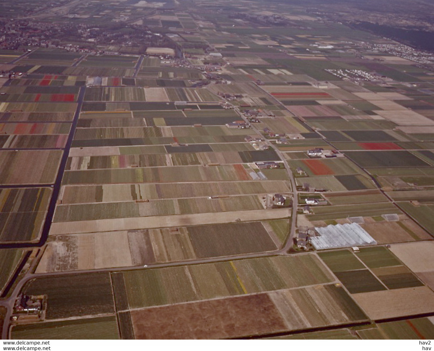 Lisse, Bloembollenvelden, Luchtfoto LF422 - Lisse