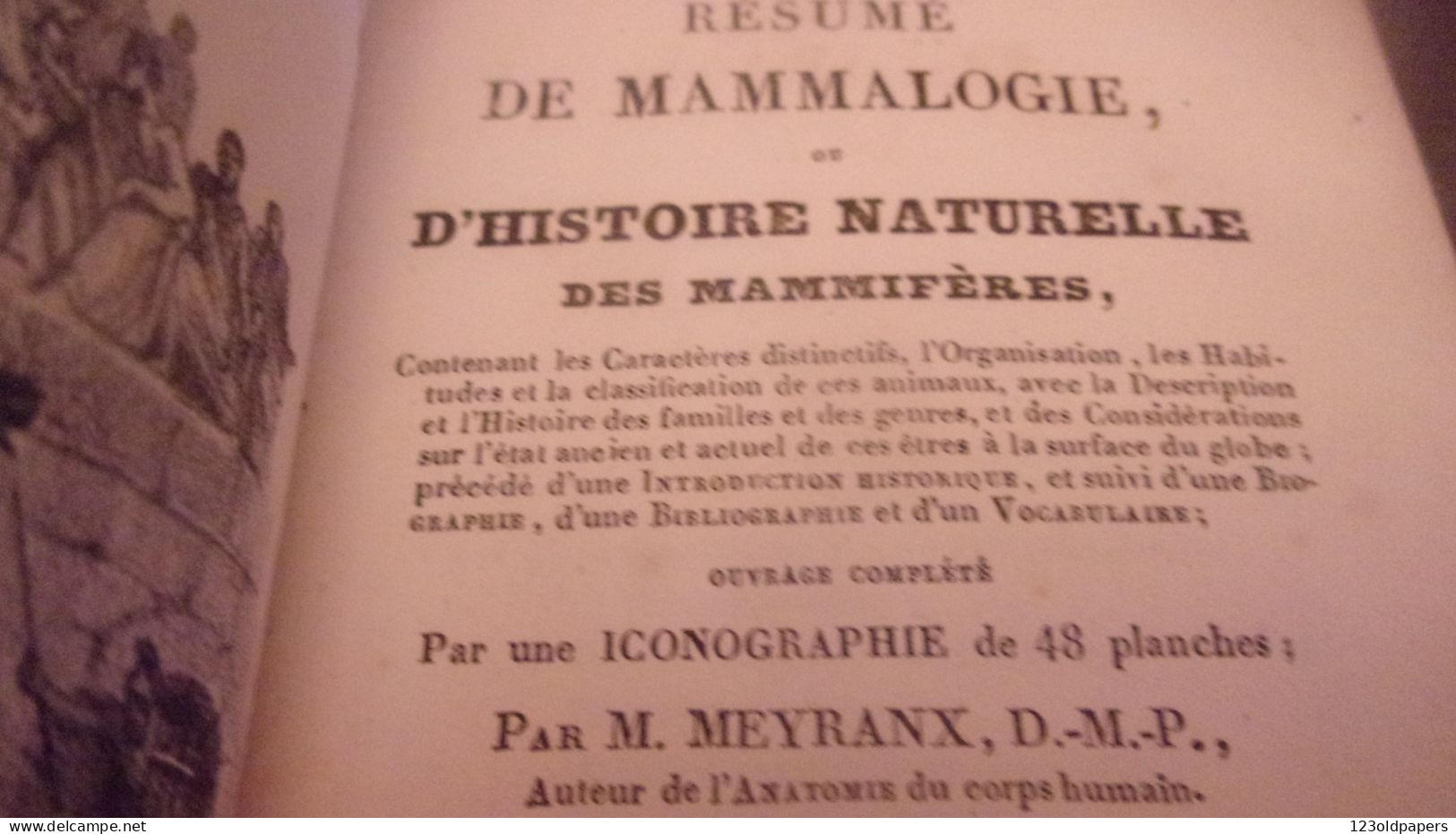 EO 1830   ‎MEYRANX M.‎ ‎Résumé De Mammalogie Ou D’histoire Naturelle Des Mammifères 48  PLANCHES COULEURS - 1801-1900