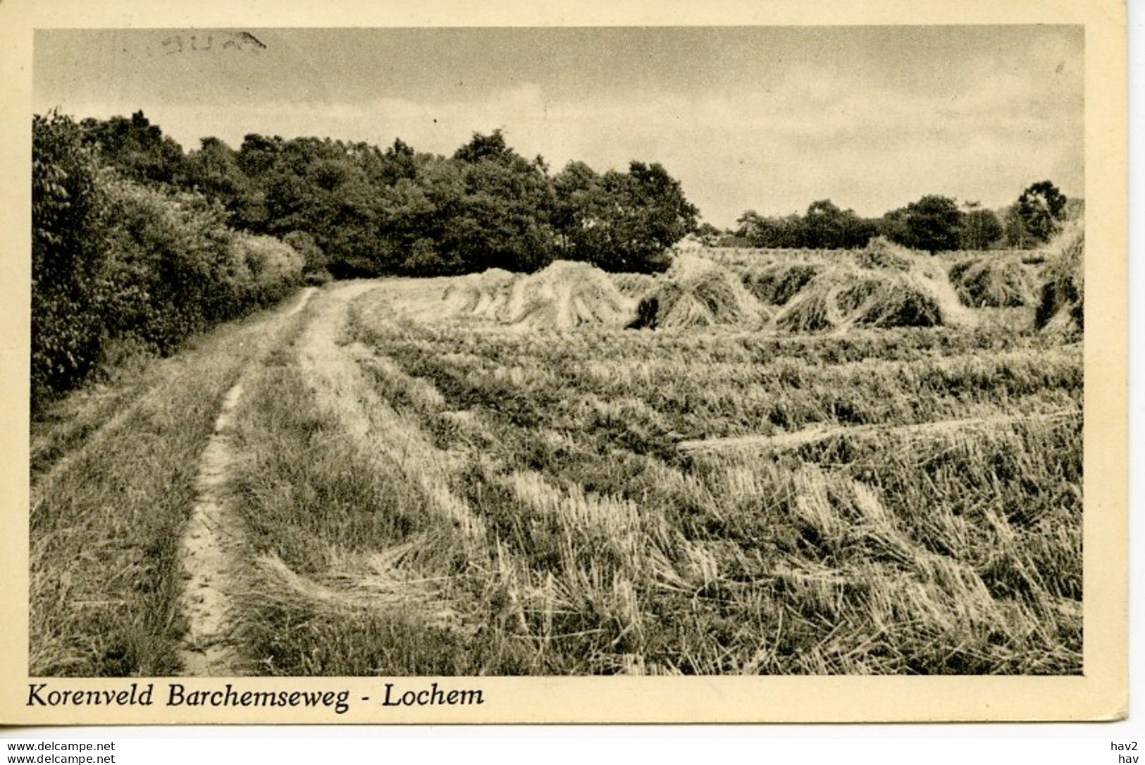 Lochem Korenveld Barchemseweg 5541 - Lochem