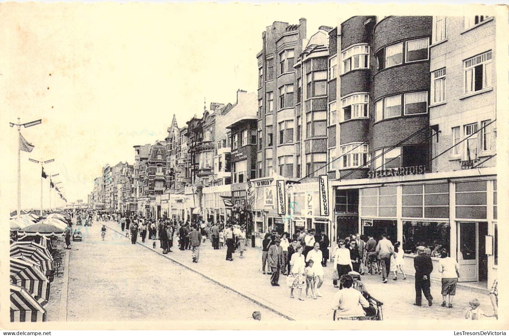 BELGIQUE - LA PANNE - La Digue - Carte Postale Ancienne - Autres & Non Classés