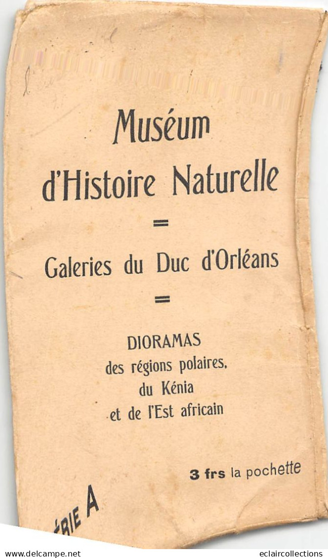 Musée  Histoire Naturelle  Galeries Du Duc D'Orléans  Kénya. Région Polaire. Est Africain  10 Cartes .   (voir Scan) - Museum