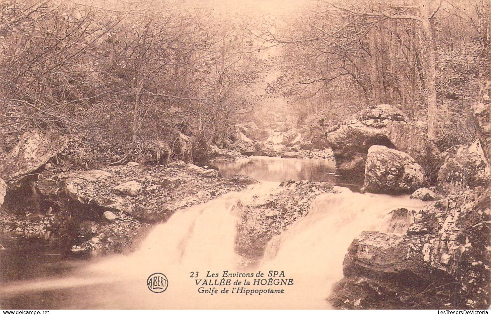 BELGIQUE - SPA - Vallée De La Hoegne - Golfe De L'Hippopotame - Carte Postale Ancienne - Spa
