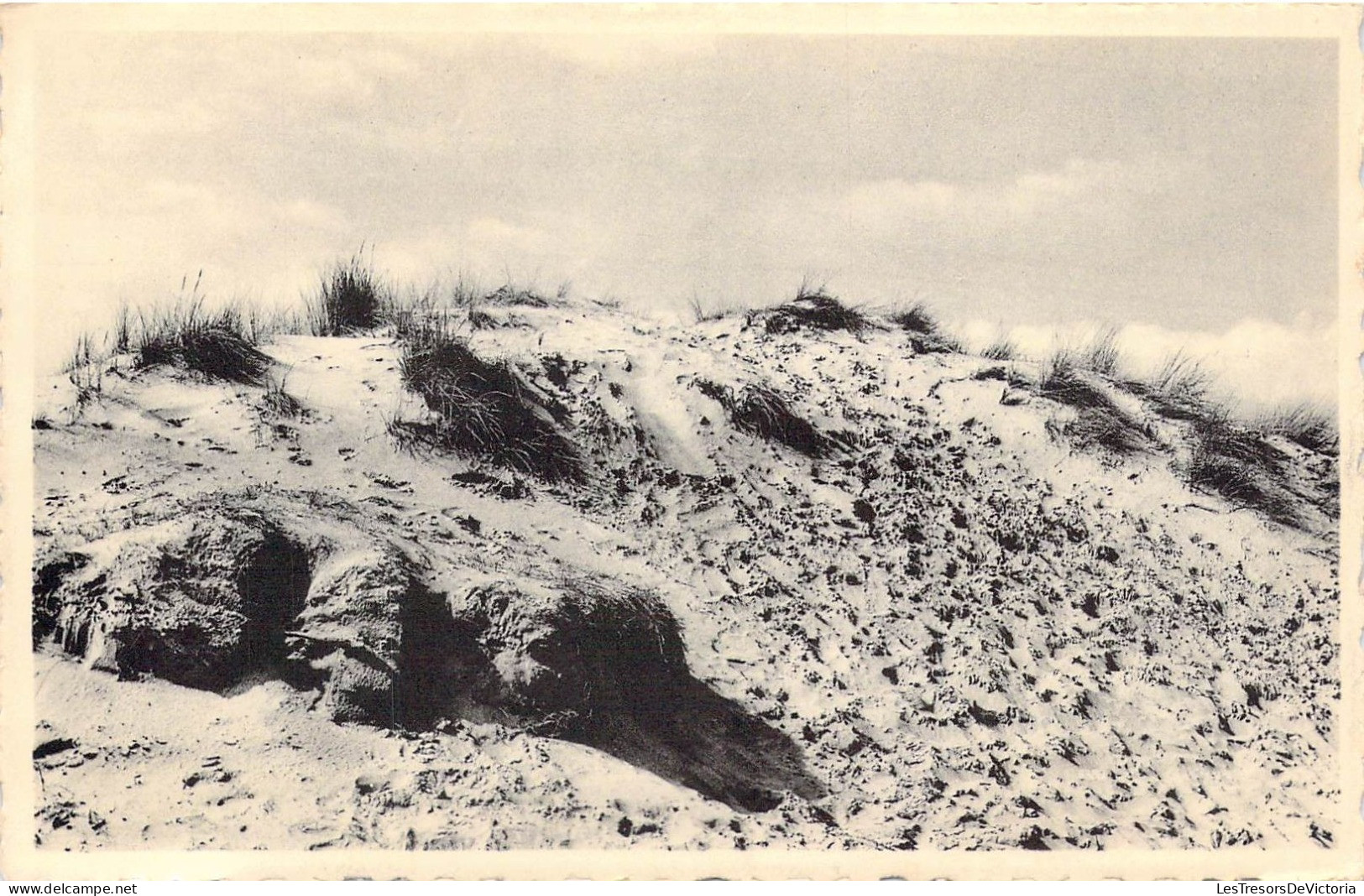 BELGIQUE - ST IDESBALD - La Dune Aride - Carte Postale Ancienne - Other & Unclassified