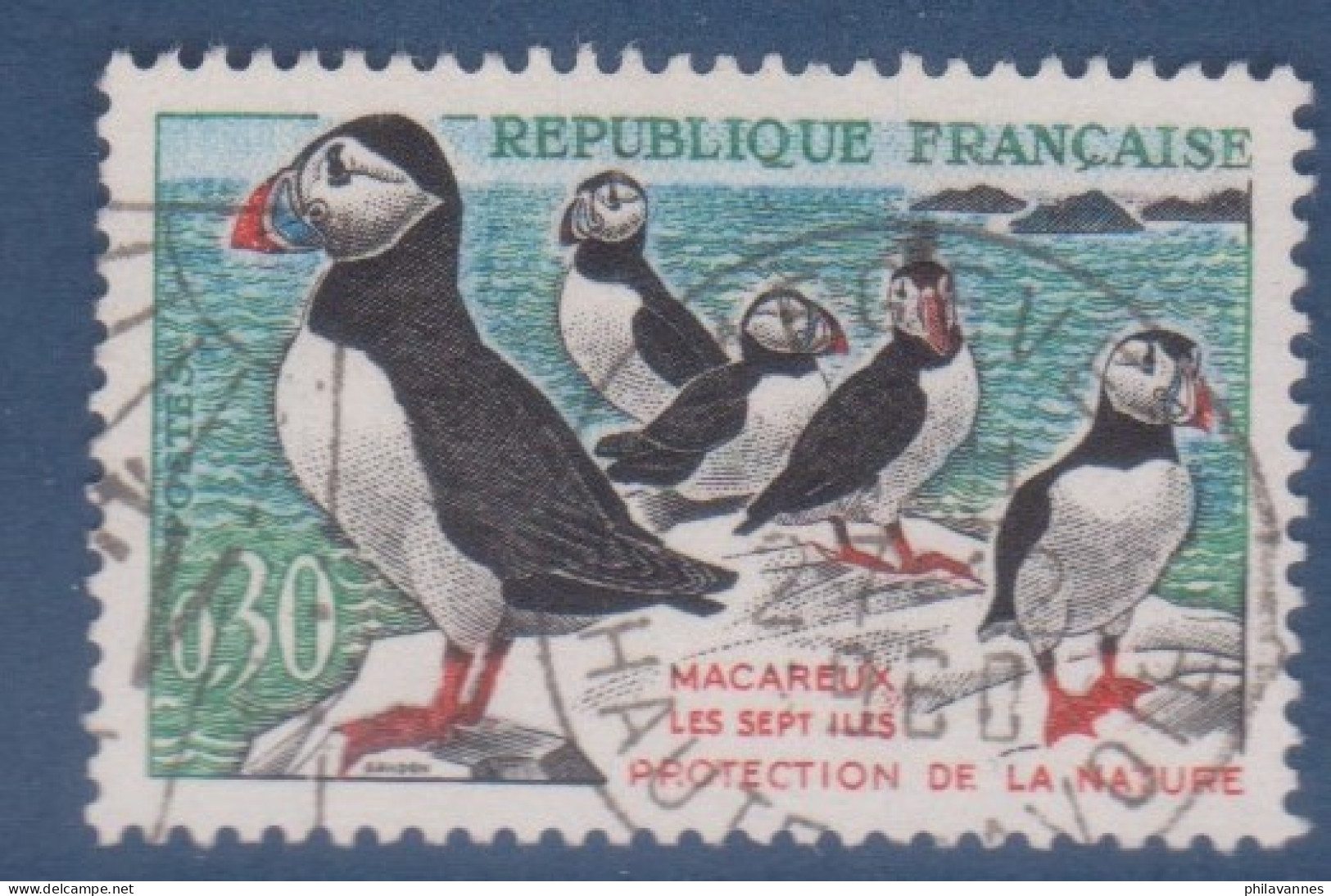 Macareux,  N°1274, Petite Variété, Houppe ( V2307B/15.6) - Gebruikt