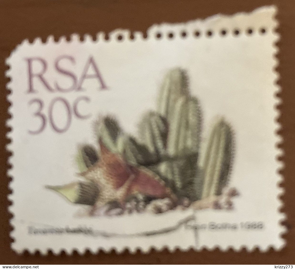 South Africa 1988 Succulents Tavaresia Barklyi 30 C - Used - Oblitérés