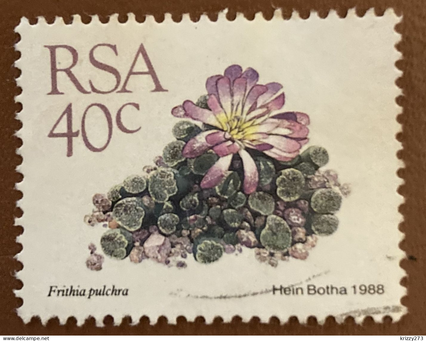 South Africa 1988 Succulents Frithia Pulchra 40 C - Used - Used Stamps