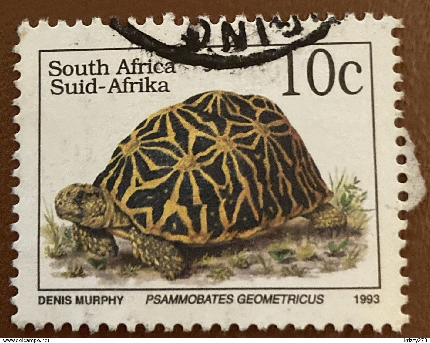 South Africa 1993 Endangered Fauna Psammobates Geometricus 10 C - Used - Used Stamps