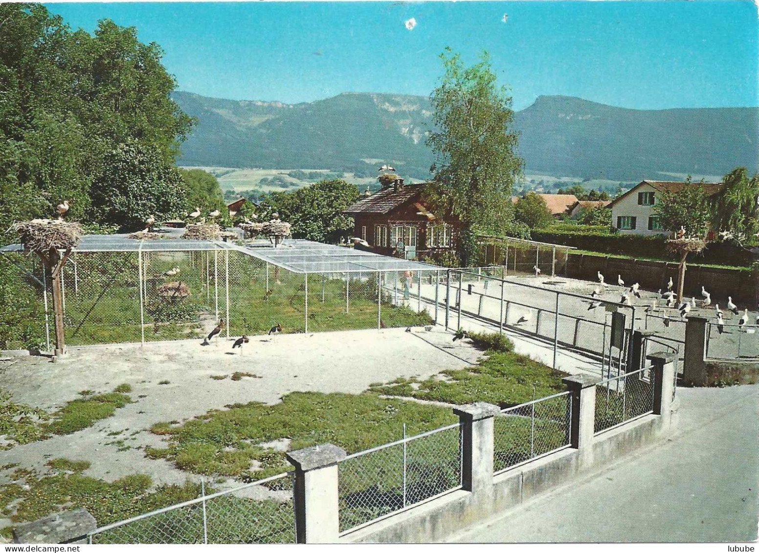 Selzach - Altreu (Versuchsgehege)      Ca. 1970 - Selzach