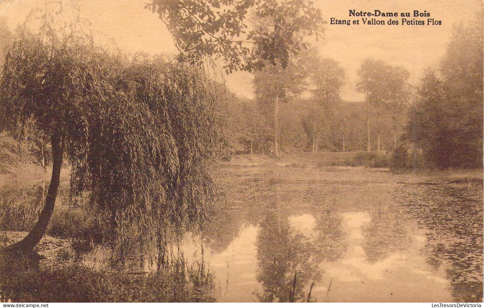 BELGIQUE - NOTRE DAME AU BOIS - Etang Et Vallon Des Petites Flos - Edit Cammaerts Soeurs - Carte Postale Ancienne - Altri & Non Classificati