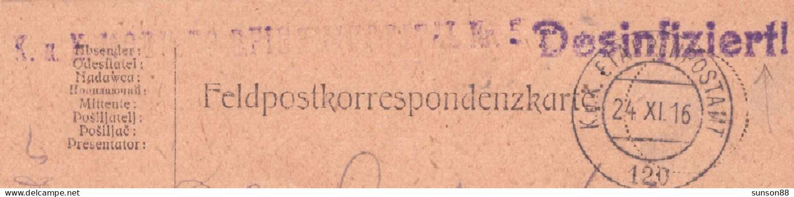 Disinfected Fieldpostcard 1916.XI.24.  Violet Linear Cachet : Desinfiziert!   “K.u.K. Mobiles Epidiespital Nr.5 - Santé