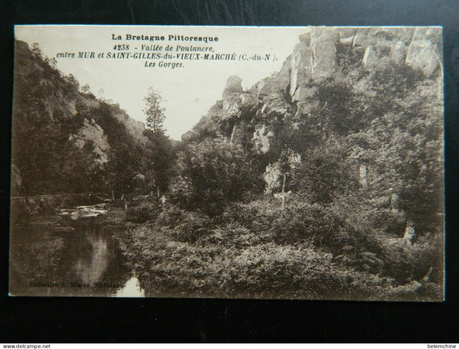 VALLEE DE POULANCRE                  ENTRE MUR ET SAINT GILLES DU VIEUX MARCHE   LES GORGES - Saint-Gilles-Vieux-Marché