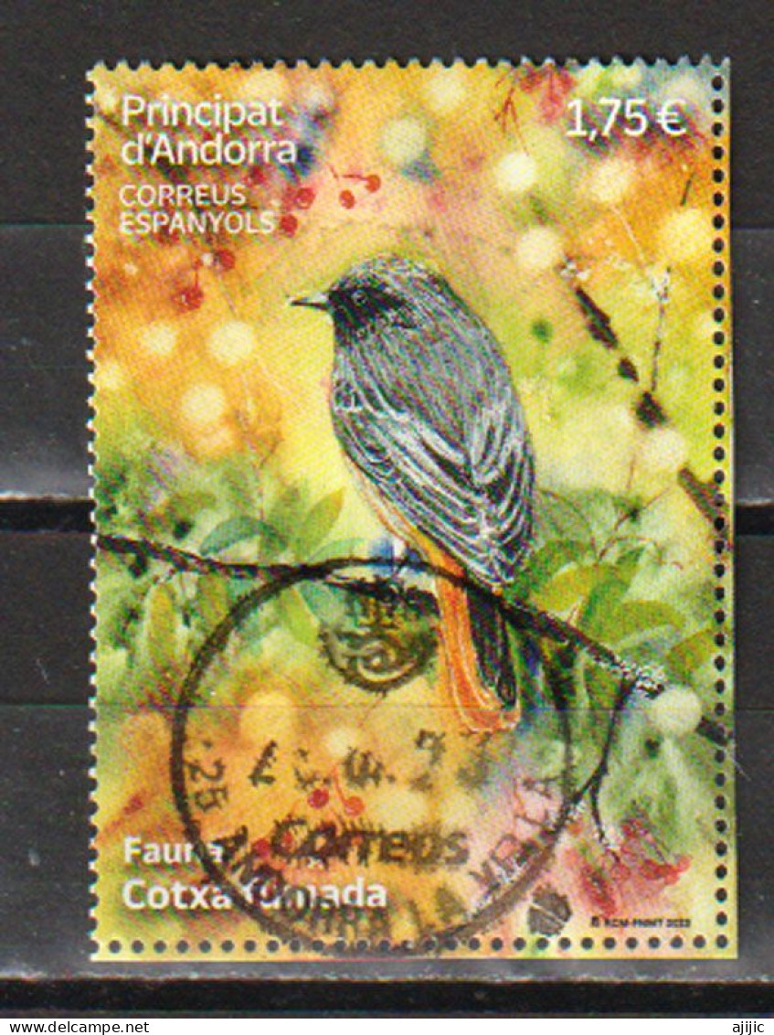 2023.Passeriforme Colirrojo Tizón . Sello Usado 1ª Calidad . (FACIAL ALTO) - Used Stamps