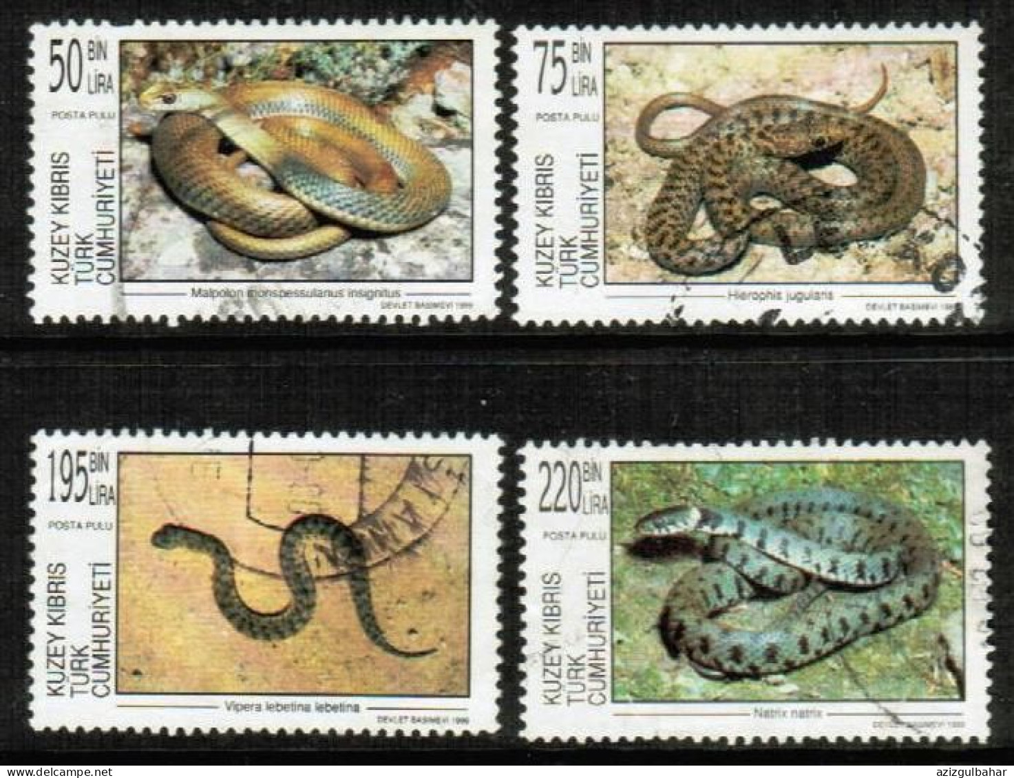 1999 - REPTILES - SNAKES - TURKISH CYPRIOT STAMPS - USED STAMPS - Oblitérés