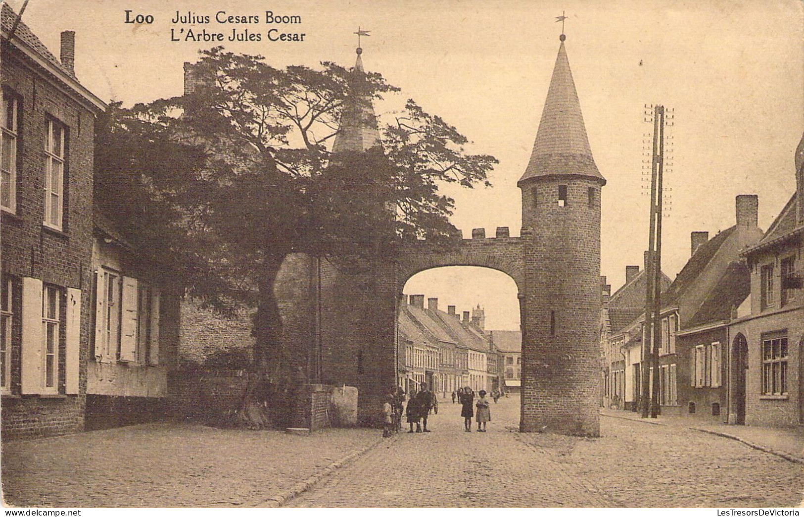 CPA - BELGIQUE - LOO - L'Arbre Jules César - CARTE POSTALE ANCIENNE - Lo-Reninge