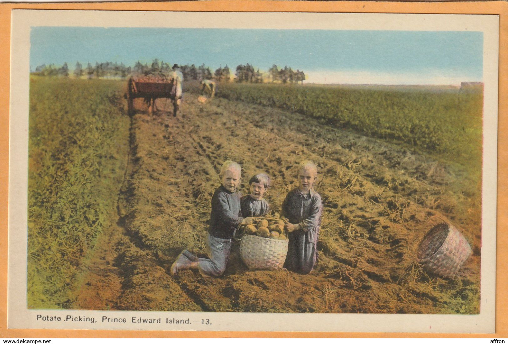 Prince Edward Island Canada Old Postcard - Sonstige & Ohne Zuordnung