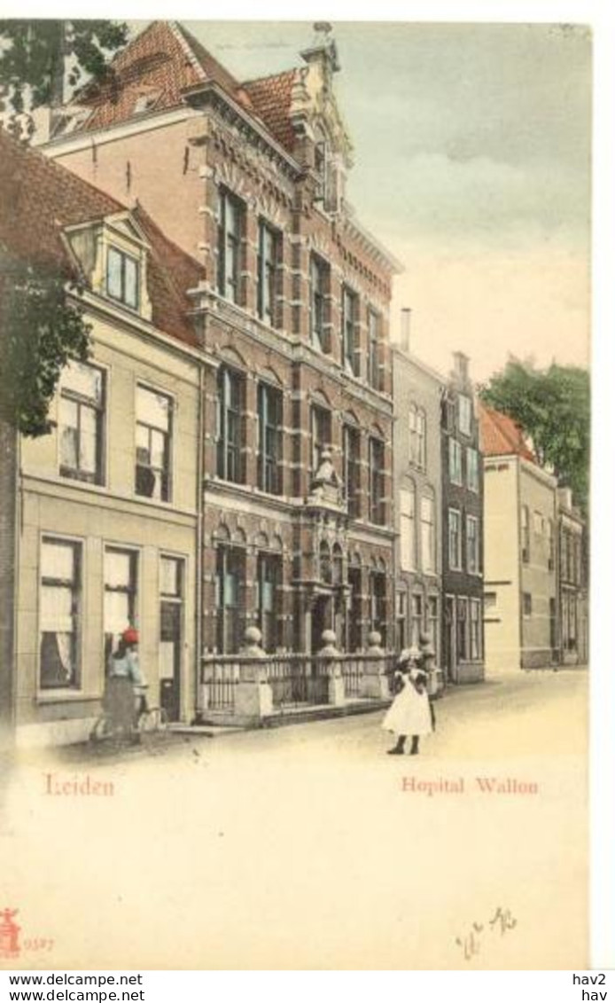 Leiden Hôpital Wallon 4178 - Leiden