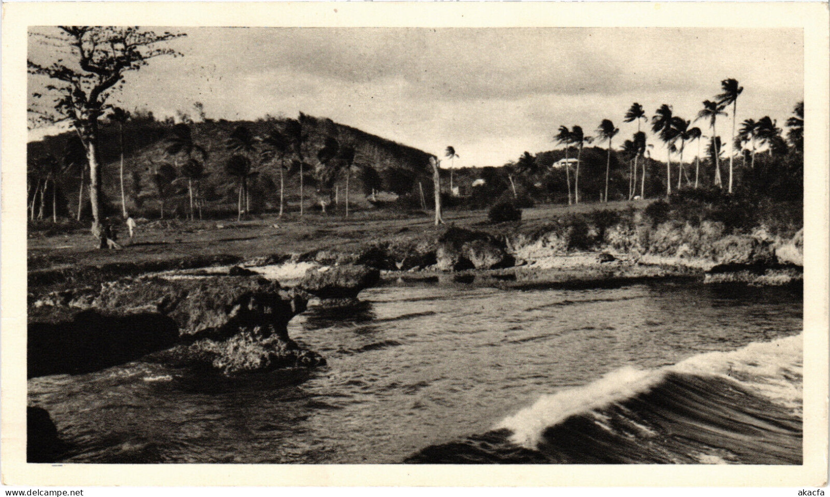 PC TRINIDAD AND TOBAGO, BORD DE MER, Vintage Postcard (b48540) - Trinidad