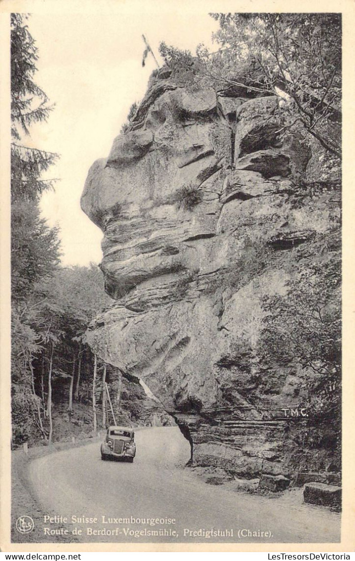 LUXEMBOURG - Petite Suisse Luxembourgeoise - Route De Berdorf-Vogelsmuhle.. - Carte Postale Ancienne - Berdorf