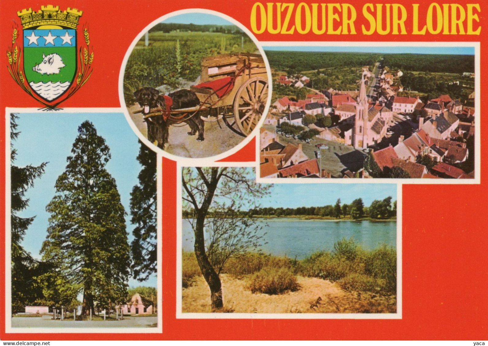 Ouzouer Sur Loire - Attelage De  Chiens - Multivues - Ouzouer Sur Loire