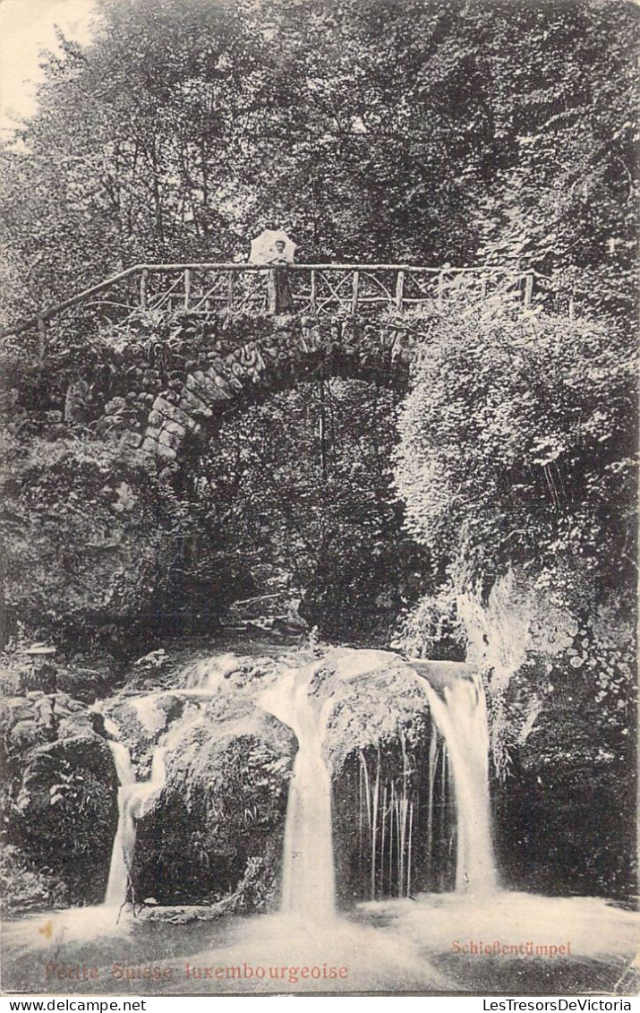 LUXEMBOURG - Petite Suisse Luxembourgeoise - SchieBentumpel - Carte Postale Ancienne - Autres & Non Classés