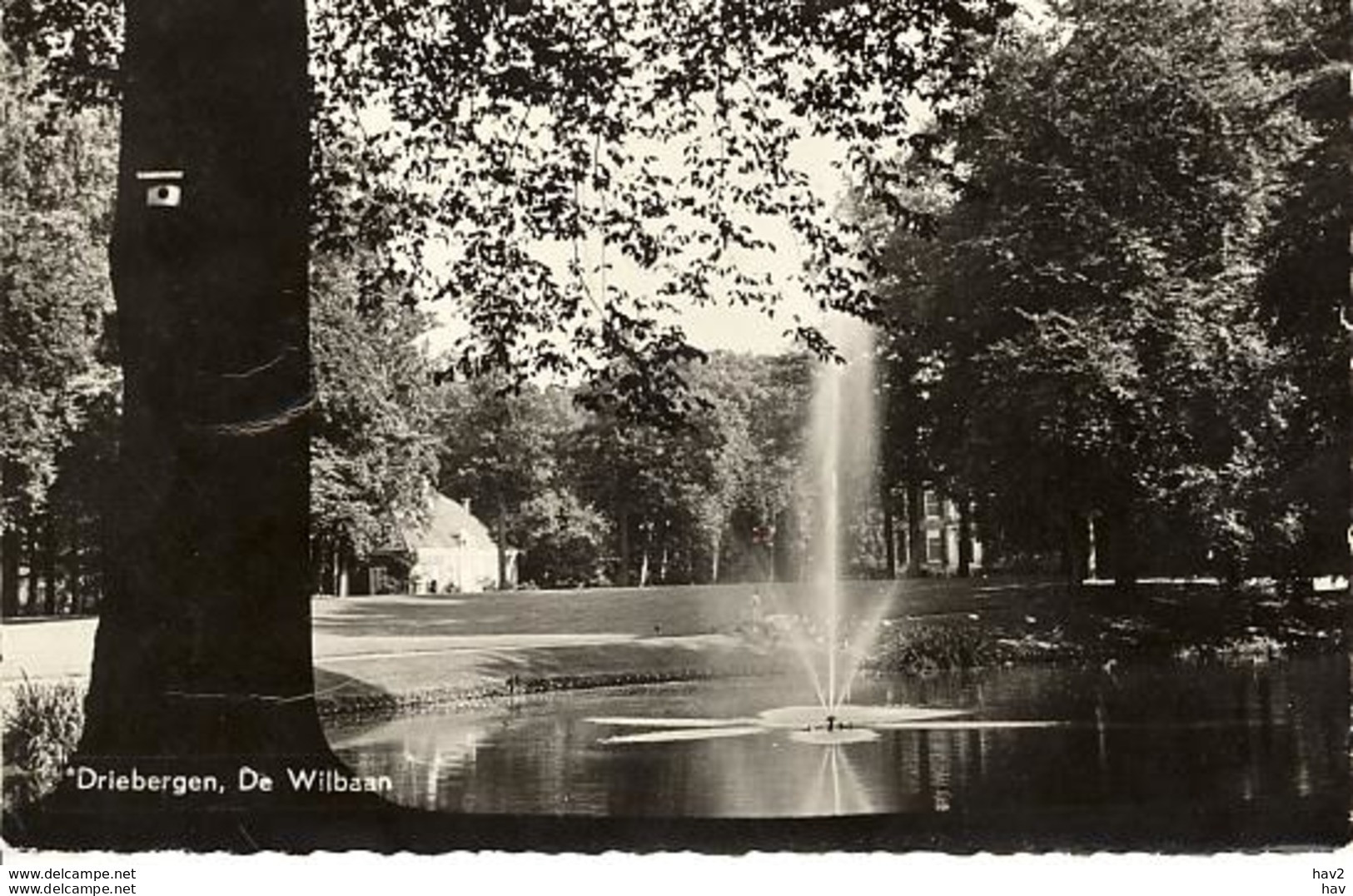 Driebergen De Wildbaan WH81 - Driebergen – Rijsenburg