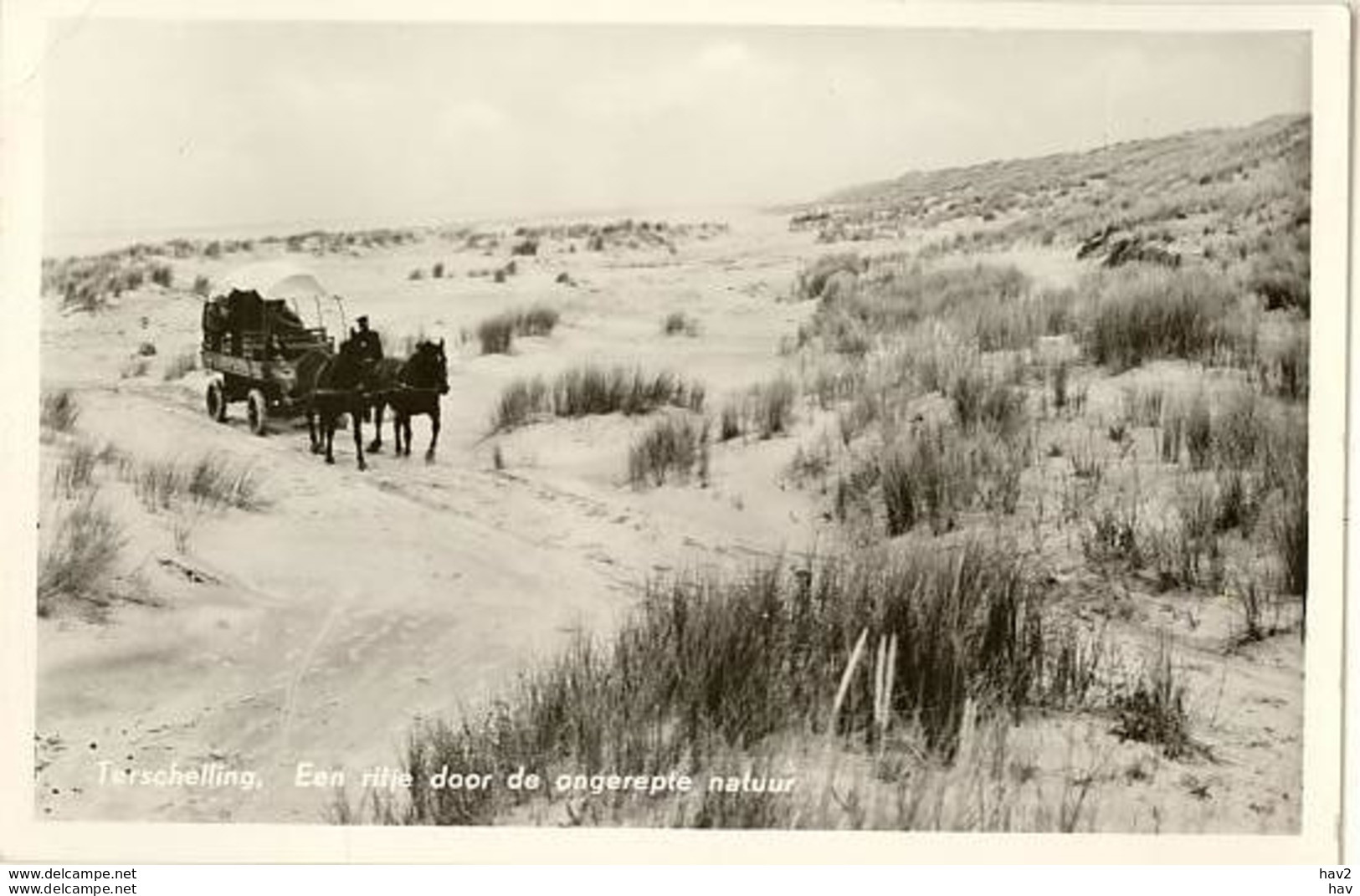 Terschelling Huifkar In De Duinen R5053 - Terschelling