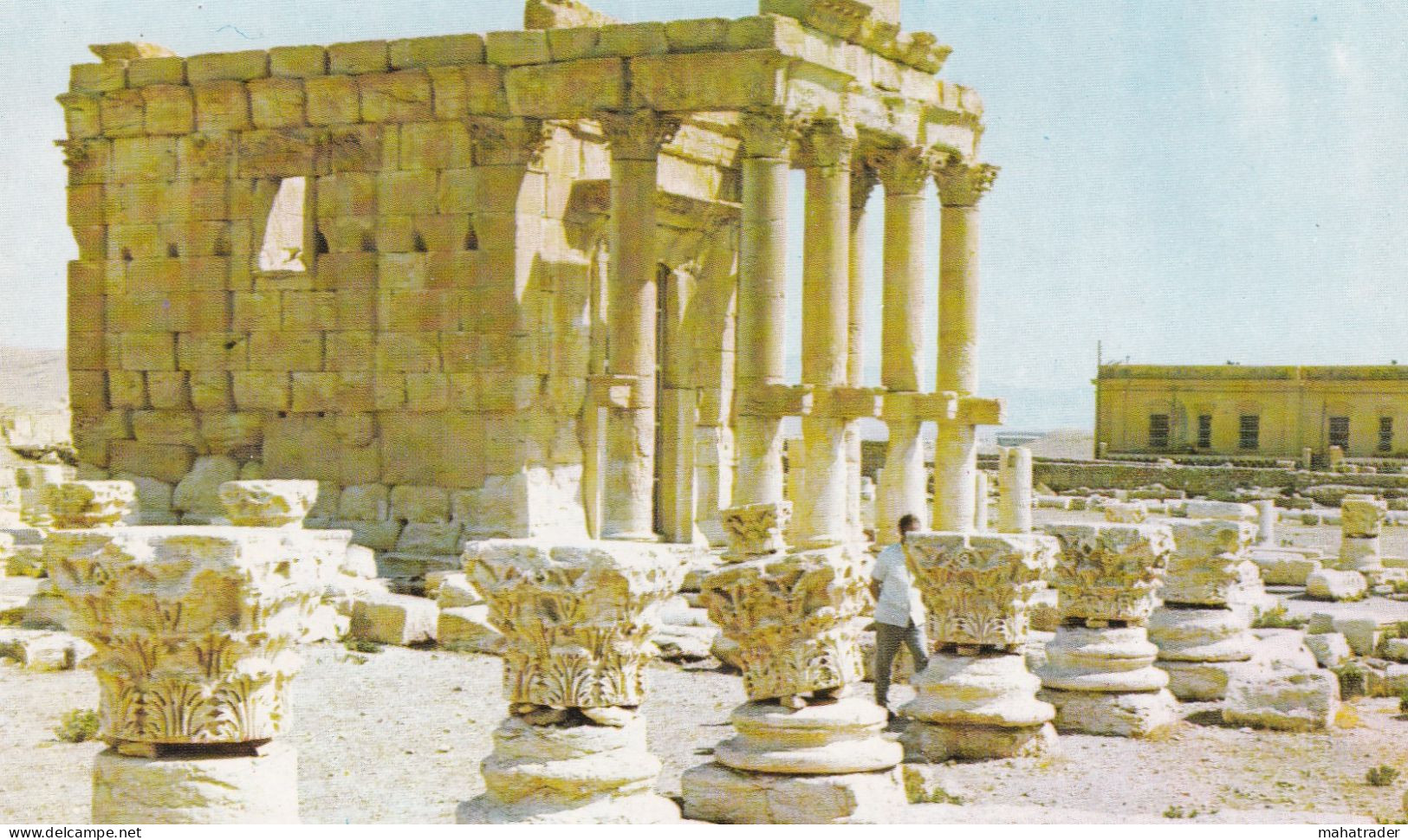 Syria Syrie - Palmyra - Shamine Baal Temple - Syrie