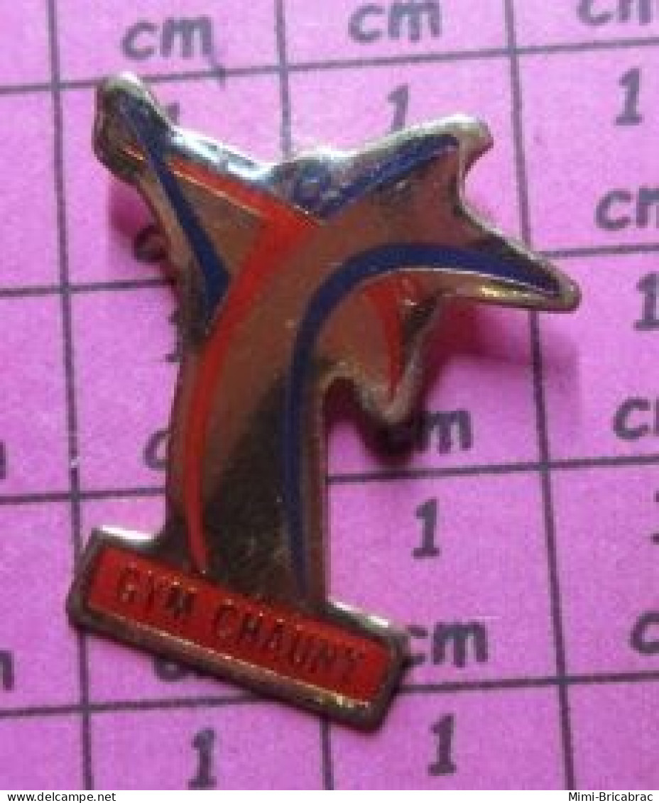 813F Pin's Pins / Beau Et Rare / SPORTS / CLUB GYMNASTIQUE GYM CHAUNY - Gymnastique