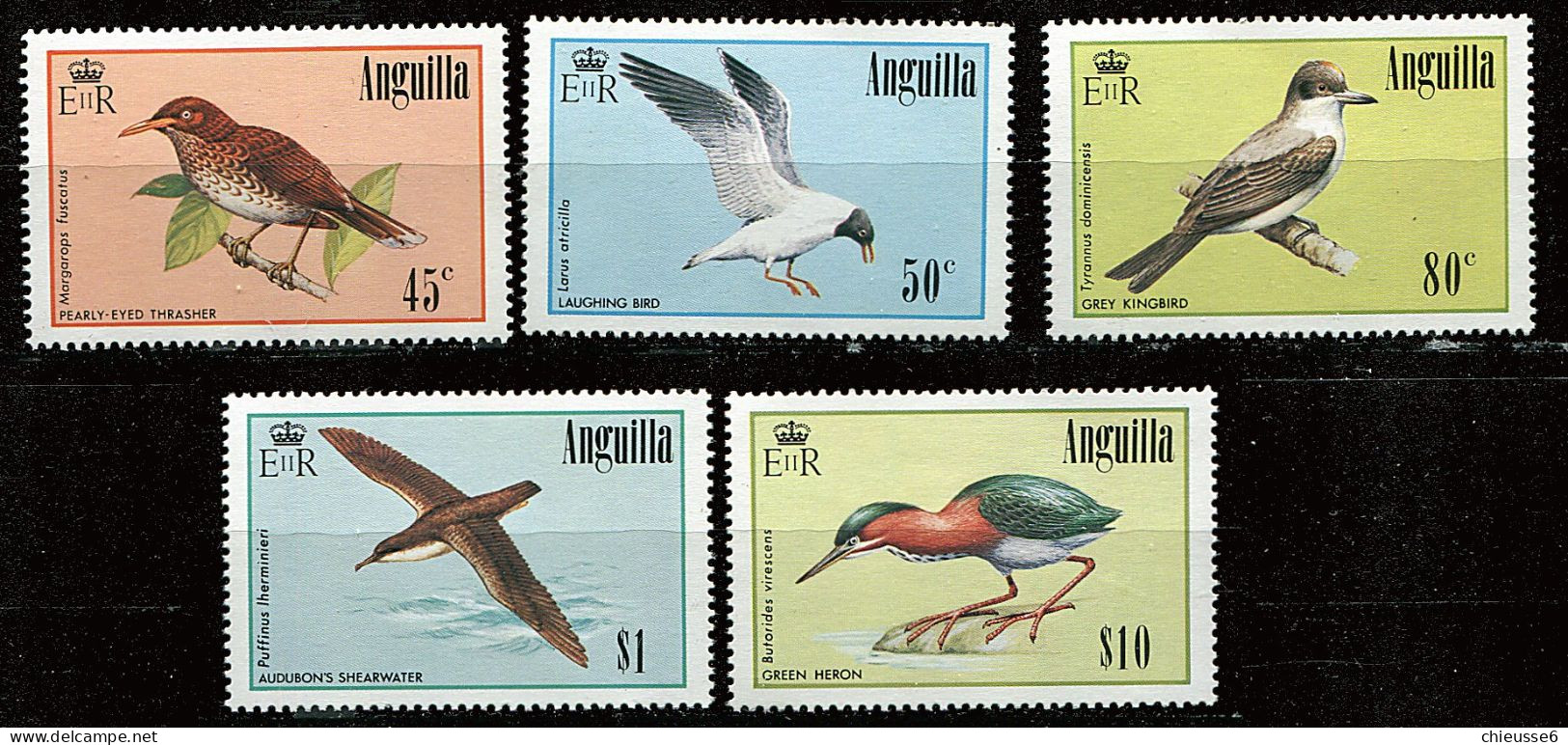 Anguilla ** N° 593 à 597 - Oiseaux - Anguilla (1968-...)