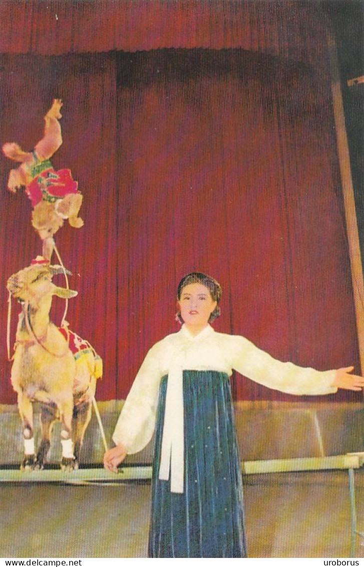 NORTH KOREA - The National Pyongyang Circus - Trained Animals: Goat And Monkey - Corée Du Nord