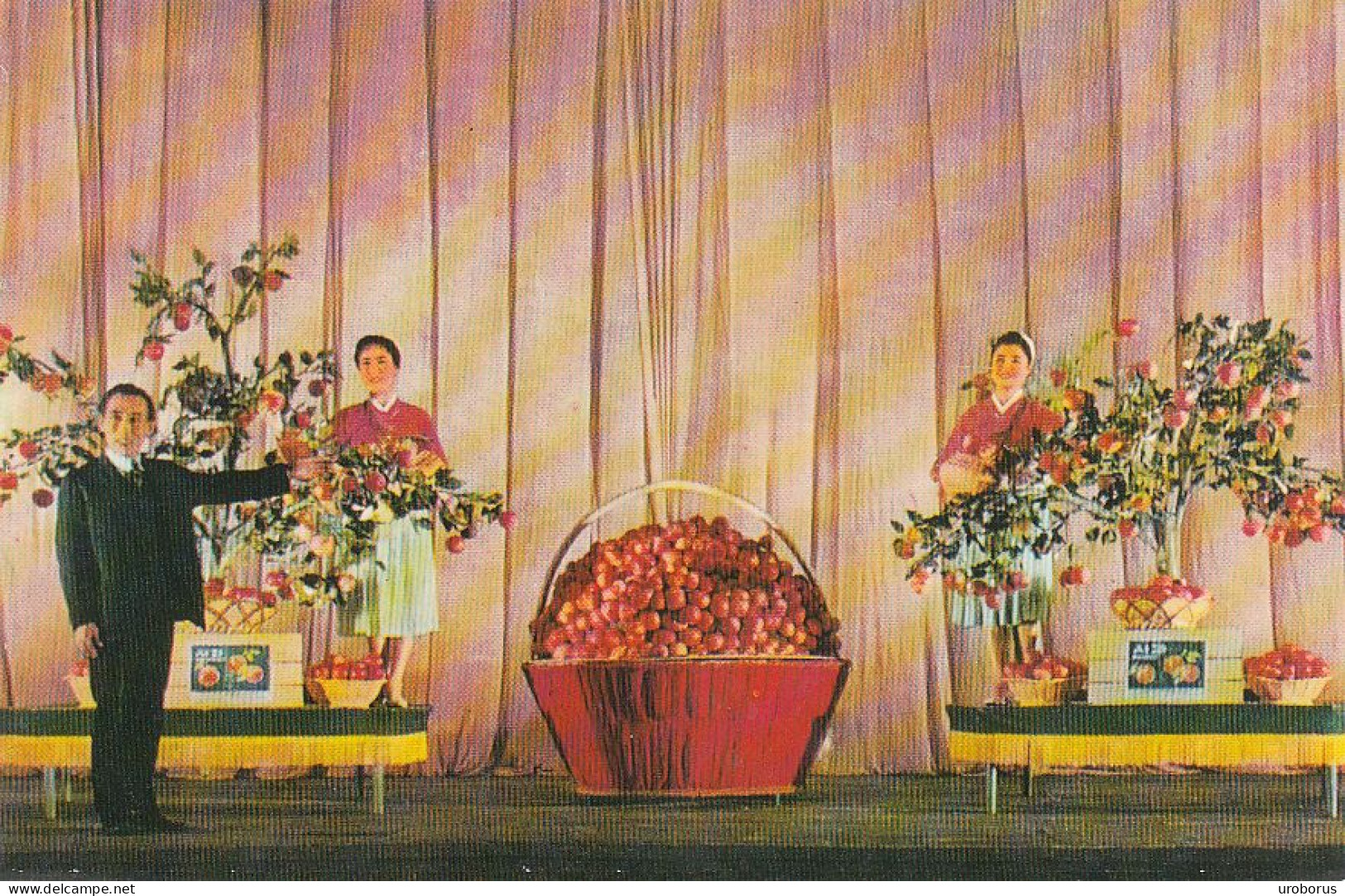 NORTH KOREA - The National Pyongyang Circus - Conjuring Trick Bumper Harvest Of Apples - Corée Du Nord