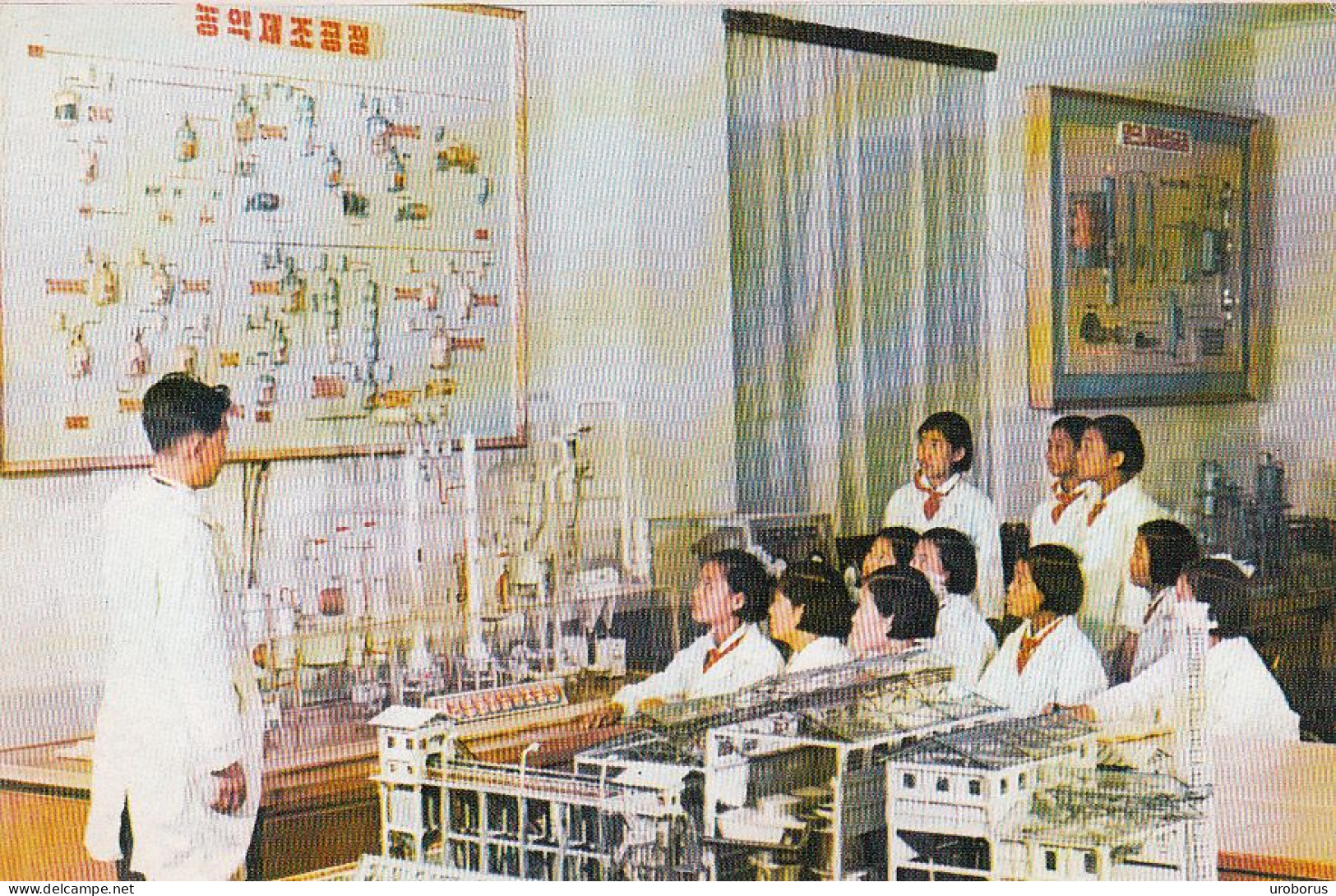 NORTH KOREA - Pyongyang - Group Learning Process Of Production Of Insecticides In The Chemical Study-room - Corea Del Norte