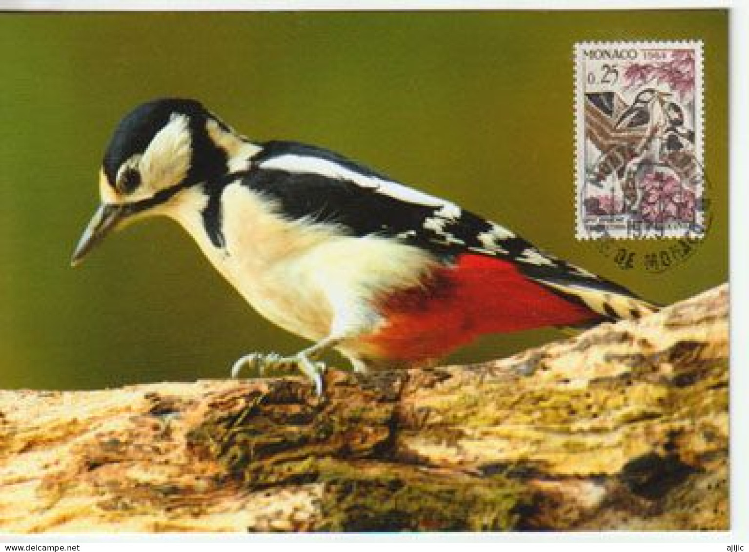 Pic épeiche/ Great Spotted Woodpecker. MONACO. Carte-maximum , Edition Natuurlijkefoto - Piciformes (pájaros Carpinteros)