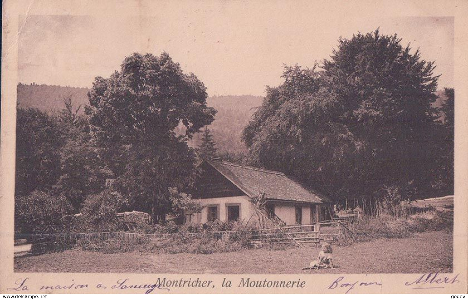 Montricher VD, La Moutonnerie (5.10.1909) Pli D'angle - Montricher