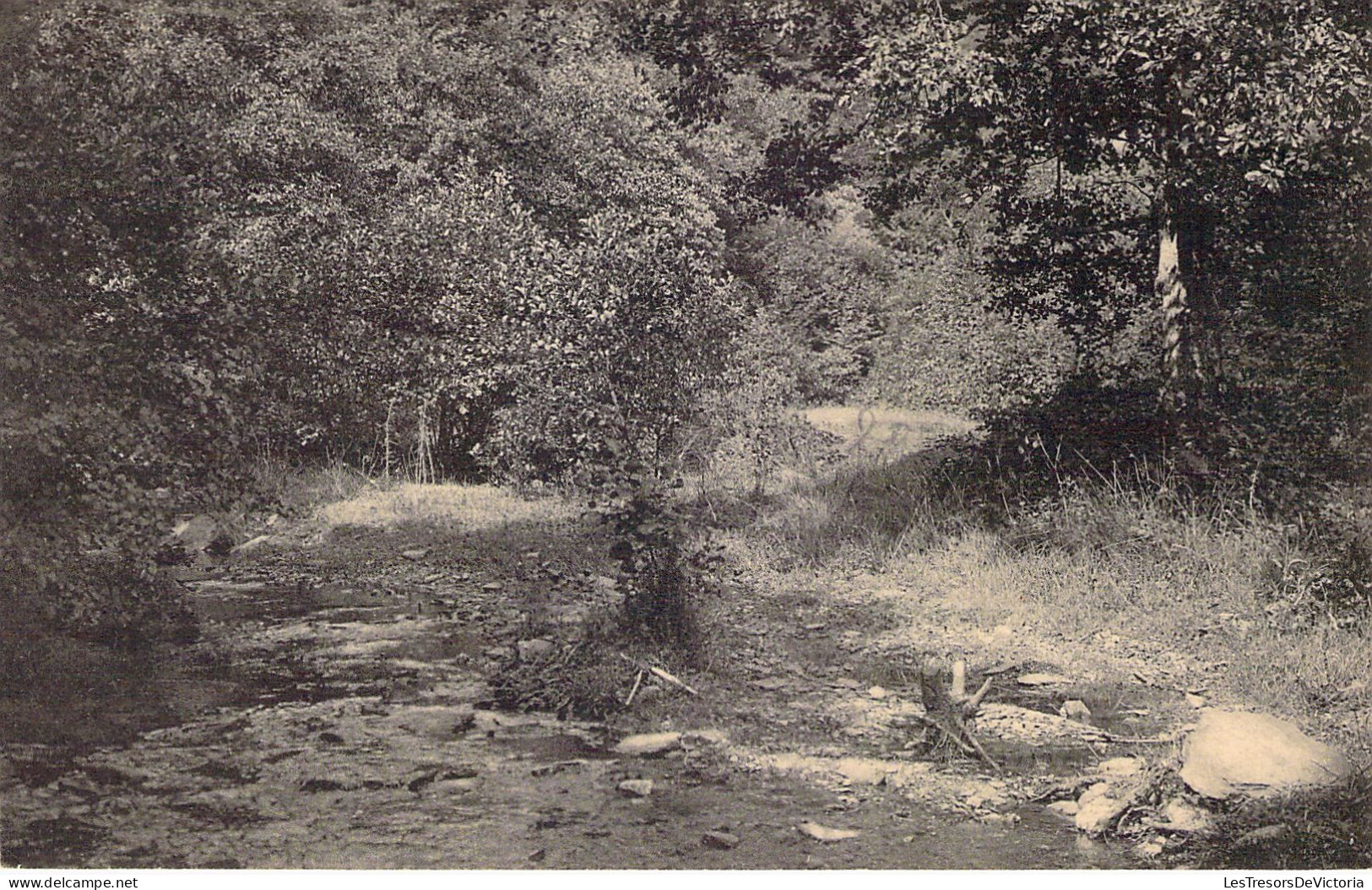 CPA - BELGIQUE - VRESSE - Le Vicinal D'Houdremont - Vallée De Nafrallure - CARTE POSTALE ANCIENNE - Vresse-sur-Semois