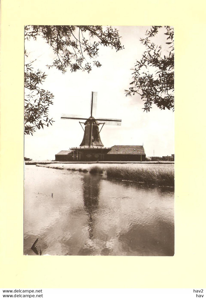 Koog Zaandijk Molen De Koperslager  RY36449 - Zaanstreek