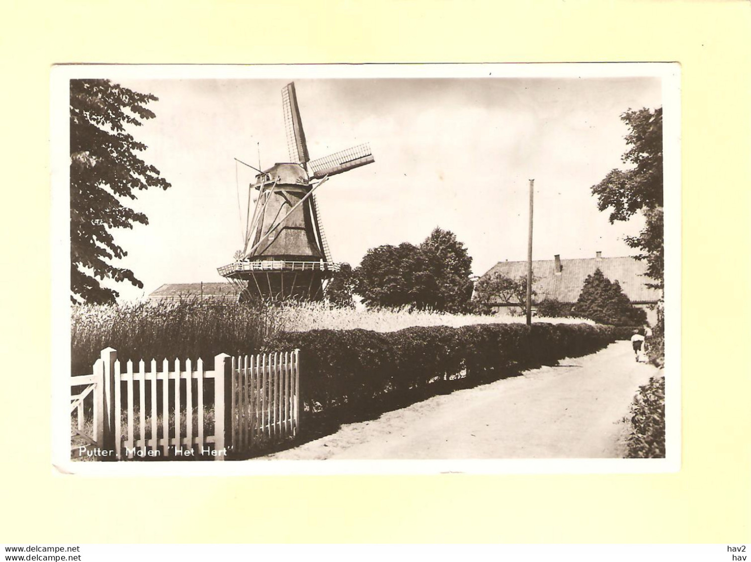 Putten Molen 't Hart Ca. 1948 RY36268 - Putten