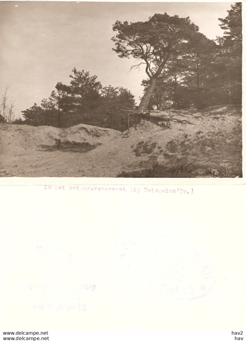 Dwingeloo Persfoto Natuurreservaat 1933 KE4436 - Dwingeloo